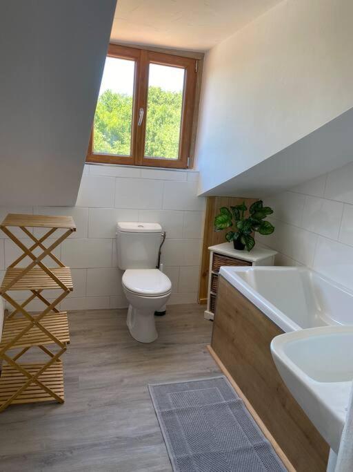 Spacious 1 Bed Home With Shared Pool Champagnac-la-Rivière Dış mekan fotoğraf
